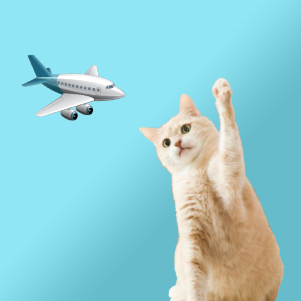 Frontiers Free-to-Fly Felines