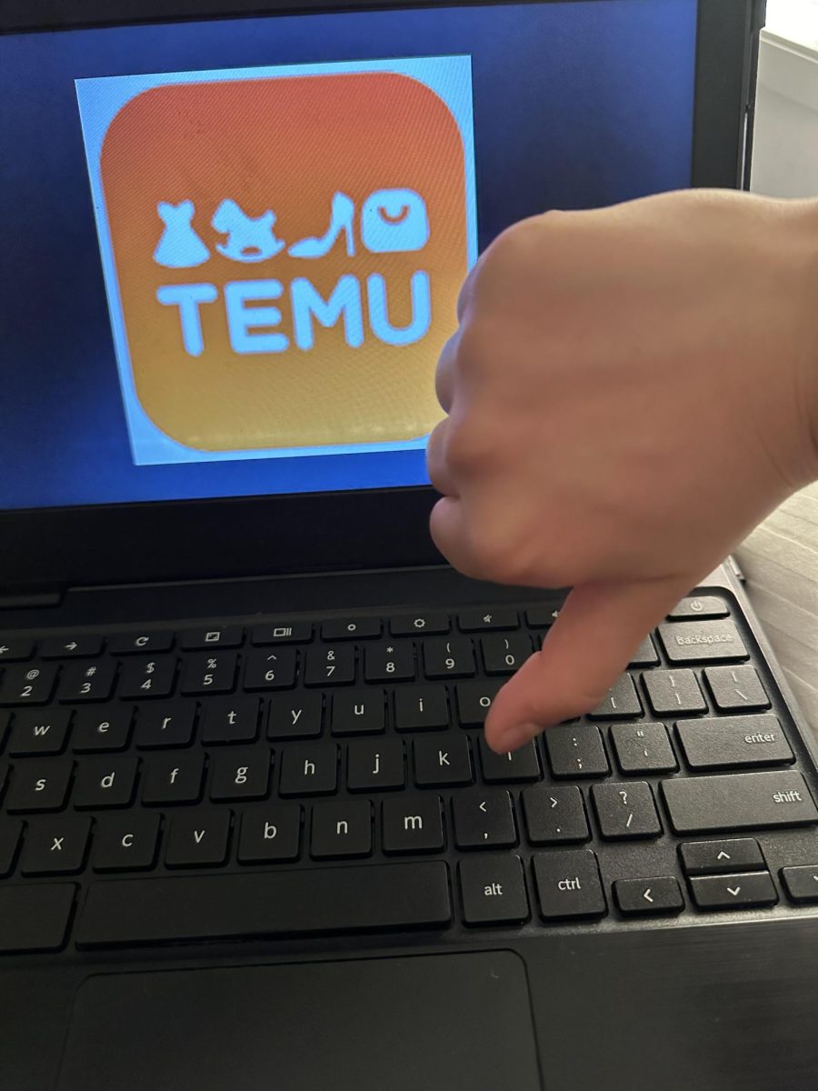 Class Action Lawsuit Against TEMU
